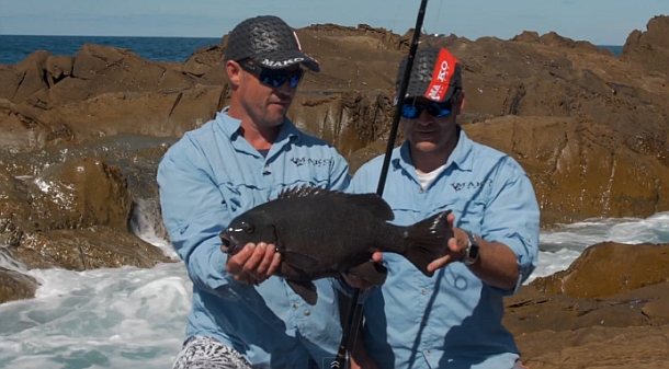 The T-Curve Revolution Bluewater Travel LT Spin 703 matched up with a Saragosa SW 5000 spinning reel proved the ideal set up for casting lures to medium-sized pelagics such as this Kimberley queenfish.